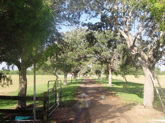 main entrance