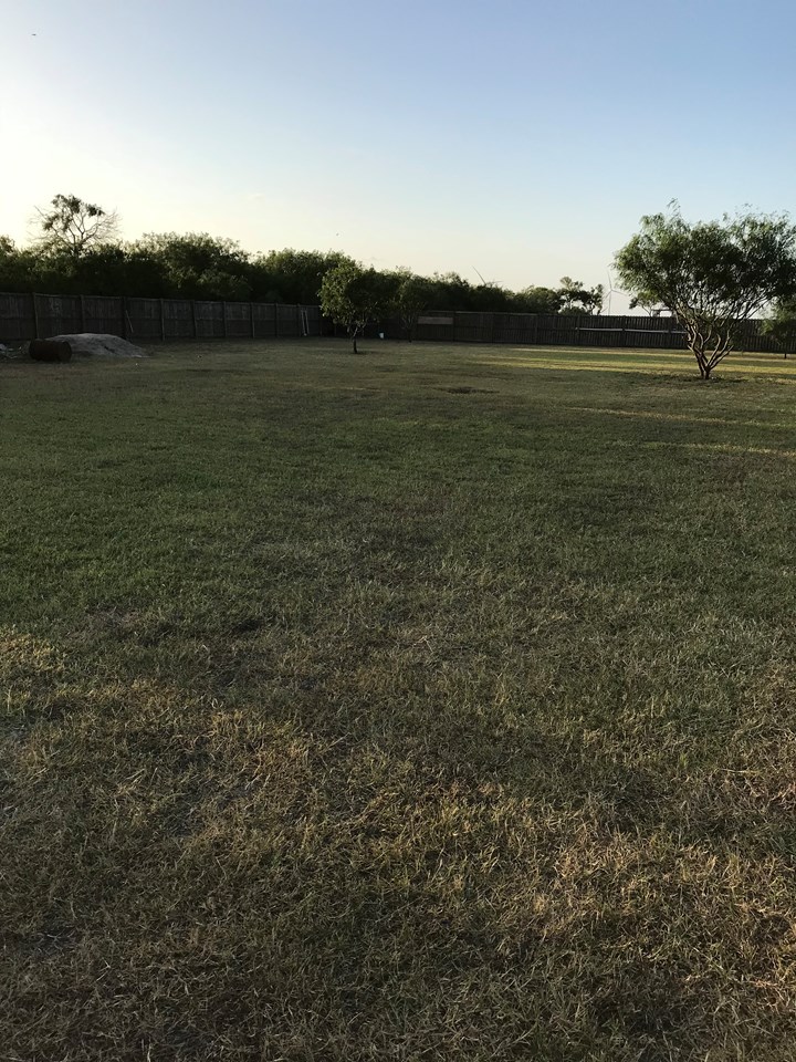 large completly privacy fenced back yard
