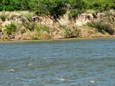 property listing