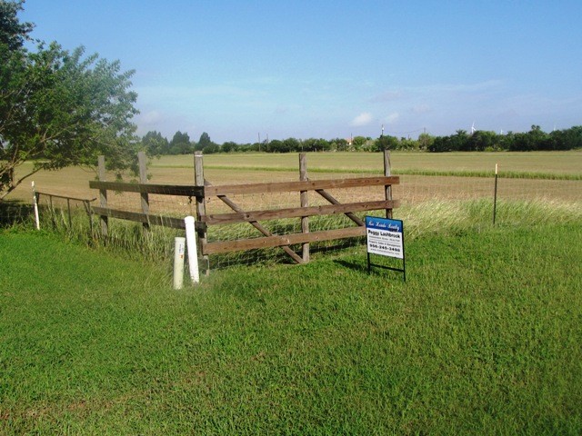 irrigated pasture
