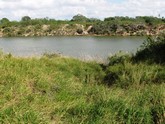property listing