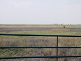 property listing
