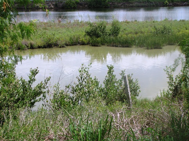 wet land