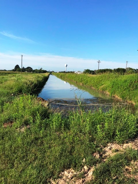 south view towards rio hondo