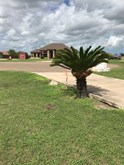 property listing