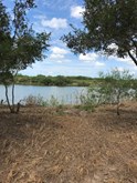 property listing