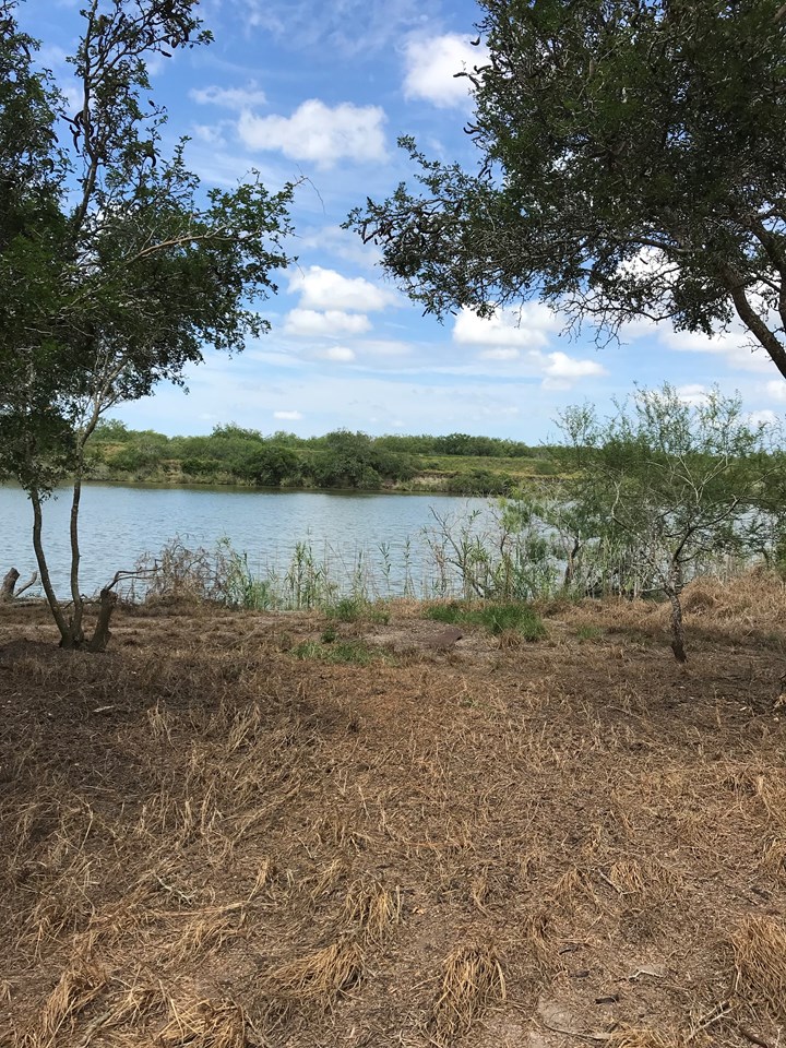 homes for sale in rio hondo tx