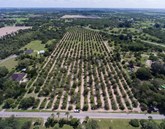 property listing