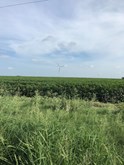 property listing